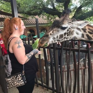 Meet your Posher, Kim